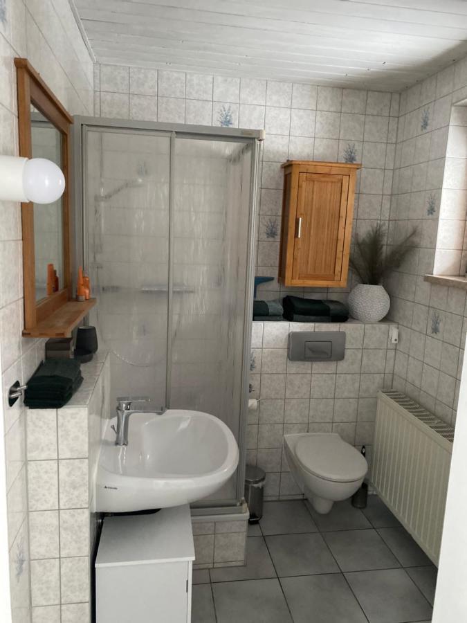 Ferienwohnung Shakira Penig Екстер'єр фото